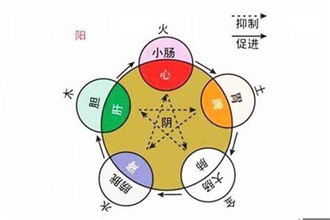 日主五行为水|如何查自己五行什么命 快速查自己的五行属性